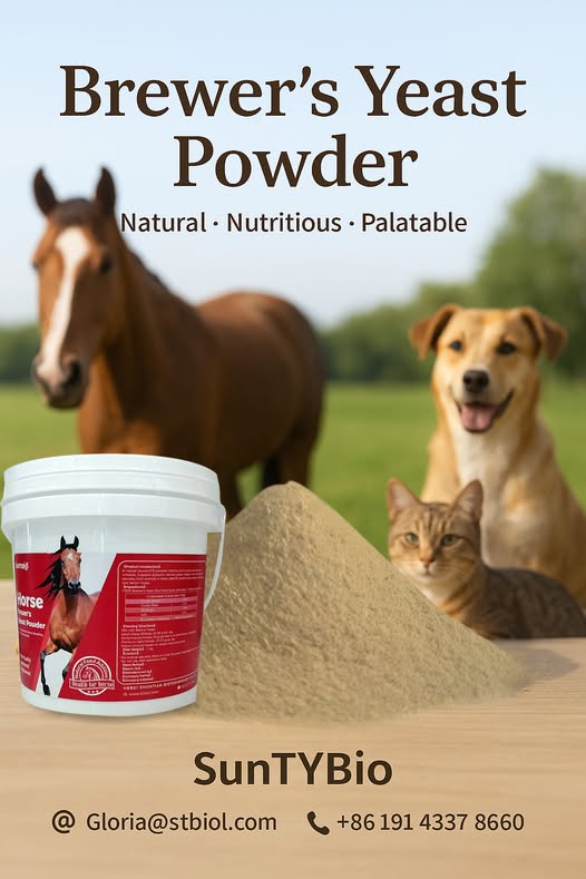 بودرة خميرة البيرة 40% (بروتين خام) ad photo