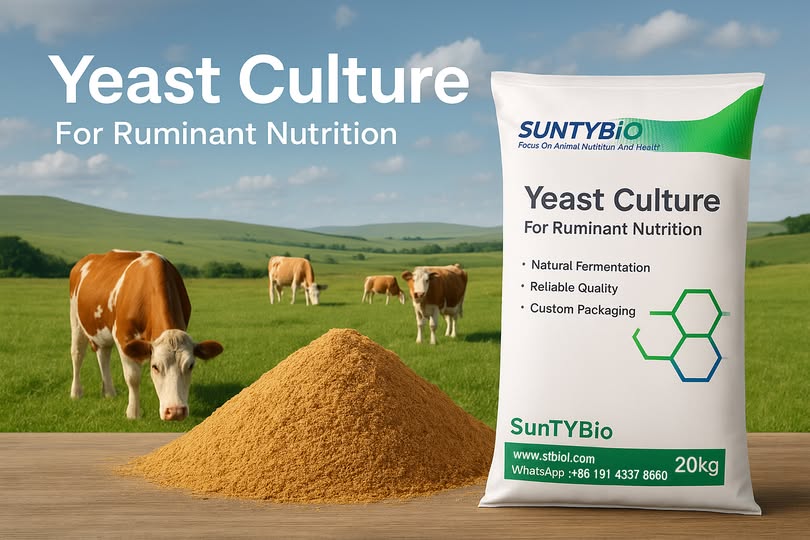 خميرة SunTYBio ad photo