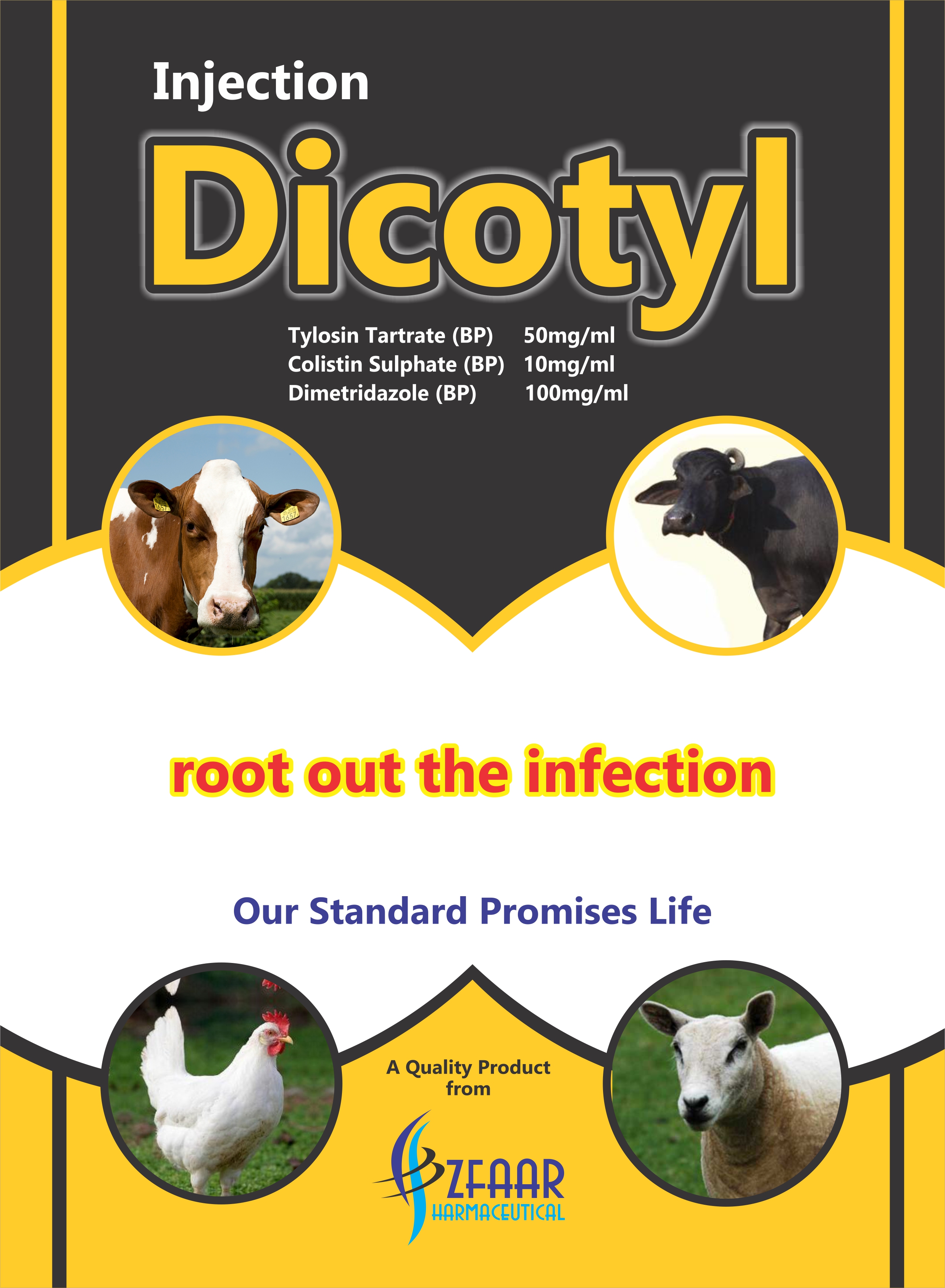 ديكوتايل – تخفيف سريع للآلام والالتهابات ad photo